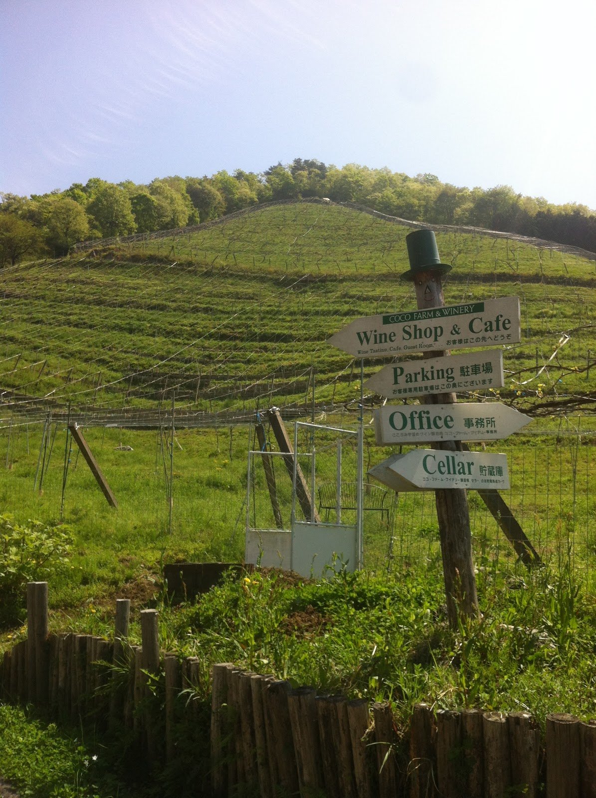 🍇 코코 팜 와이너리(코코 파무 와이나리)